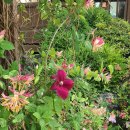 하얀뜰어린이집 이미지