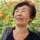 김예중농장 이미지