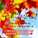 11월 마지막 날.... 이미지