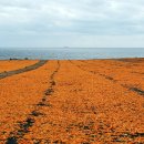 뿌리목장 이미지