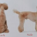 강아지 정거장 이미지