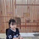 고양이살롱앤카페 네이버블로그