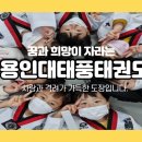 용인대 태풍태권도 이미지