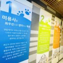 스카이애견 이미지