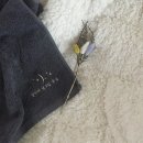아이앤스냅 | 저희 딸 돌잔치 후기 ♪ (진해J컨벤션/봄티비성장동영상/wnb돌답례품/아이앤드레스/아이앤스냅)