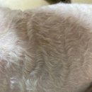 에이치바이오메디칼 이미지