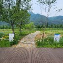 연천재인폭포 이미지