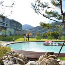 마이다스 이미지