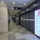 위대한탄생여성의원 이미지