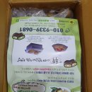 소랑다래랑 이미지