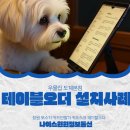 윈윈통신