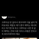 호두마루 이미지