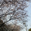 공영주차장옆길 이미지