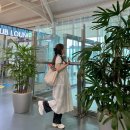 270-4506 | 다낭 자유여행 DAY 1. 환전 콩카페 핑크성당 쩌비엣 푸라마리조트 투란스파