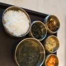 시드니 자유여행 후기 (3) 먹거리 (맛집 추천, 음식 추천, 마트 음식 추천, 기념품 추천, 솔직 후기)
