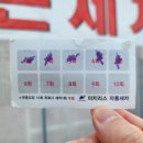 동두천 터틀 프렌즈 이미지