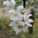 일철농장 이미지