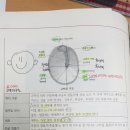 유도전극판 이미지