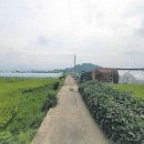 대산면908 이미지