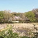 안곡습지공원 화장실 이미지