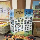 샬롬장식 이미지