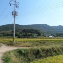 석포축사 이미지