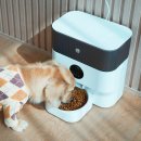 나나비펫 | 고양이 자동급식기 추천, 헤이홈 스마트 펫 급식기 써보니 밥걱정이 사라졌음