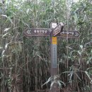 봉림농장 이미지