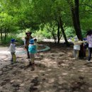 신동초병설유치원 이미지