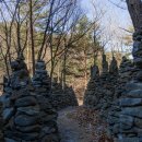 솔향수목원(전시온실) 이미지