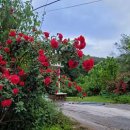 유성농장 이미지