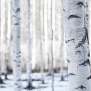 정원지원센터 이미지