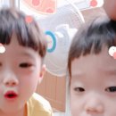 세원뼈다귀 이미지