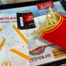 일산 맥도날드 치즈버거 세트 마라 시즈닝 감튀, 해피 스낵 치킨모짜스낵랩 후기