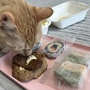 배부르댕 이미지