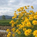 연필 깍는 시간 - 김재진 이미지