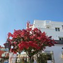 탕정면로8번길+탕정면로22번길 이미지