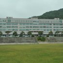 김해대학교 Daum카페