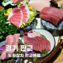일품참치 - 중구 보문로262번길 44 | 판교역 회식장소 도원참치 판교본점 일품참치 후기