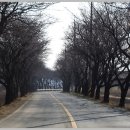 풍각터미널 이미지