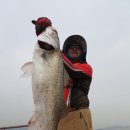 제주이글루 이미지