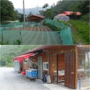 [6월 28~30일] 예산 느티나무 캠핑장 후기