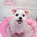 광명시티동물병원 이미지