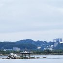 강릉 경포대 자전거 내돈내산 대여, 바이크스토리 비용 및 만족도