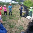 연진농장 이미지