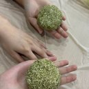 제주순복음종합사회복지관 | 제주순복음종합사회복지관:가족과 함께 친환경 샴푸바 만들기