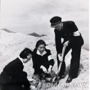 한국 청소년적십자 이미지