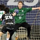 ‘철옹성 화력’ 삼척시청 H리그 6연속 챔피언결정전 진출 이미지