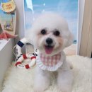 79대포 군산미장파인빌점 | 우리의 주말(2024.07.12~14)