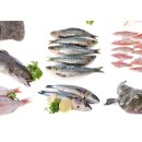 사천상회 이미지